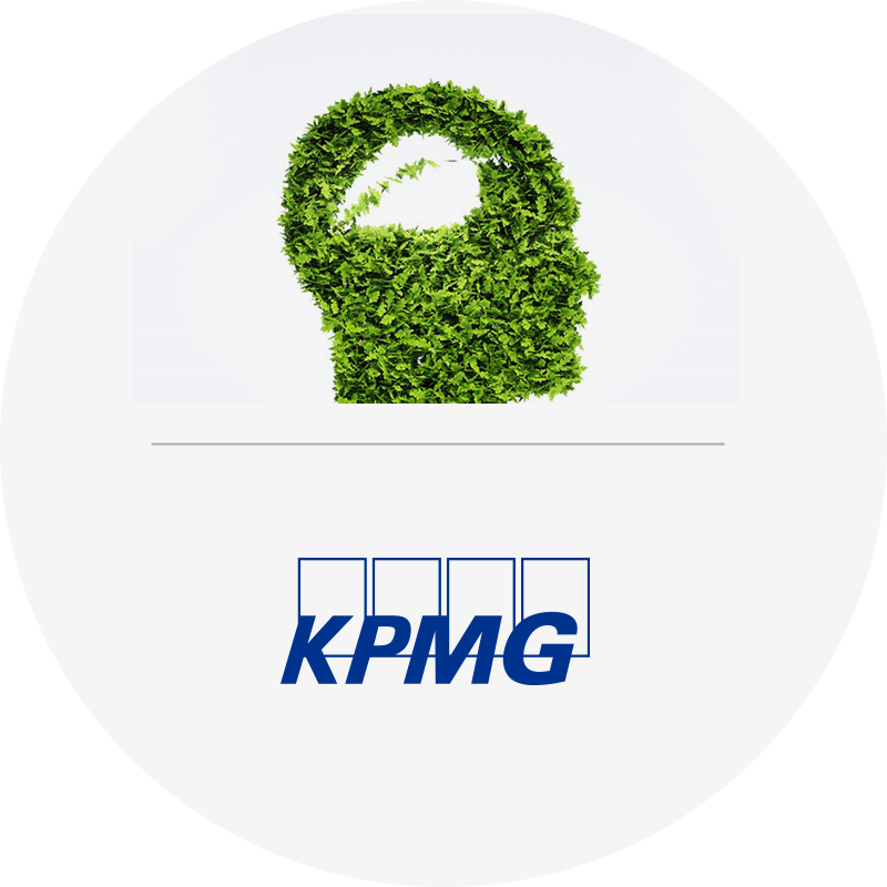 themeninsel-kpmg_neu.png