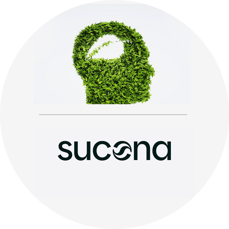 Thmeninsel_sucona_NEU.png