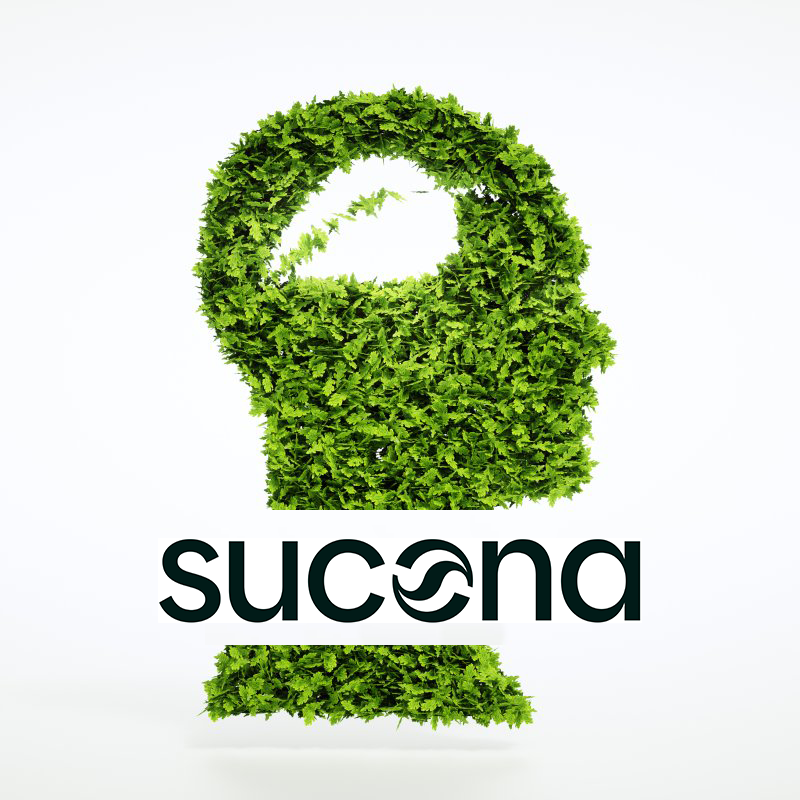 Thmeninsel_sucona.png
